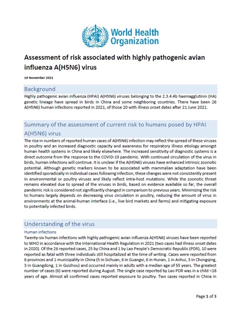 Assessment of risk associated with influenza A(H5N6) virus
