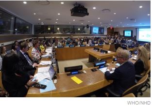 un_decade_of_action_on_nutrition_2016_2025