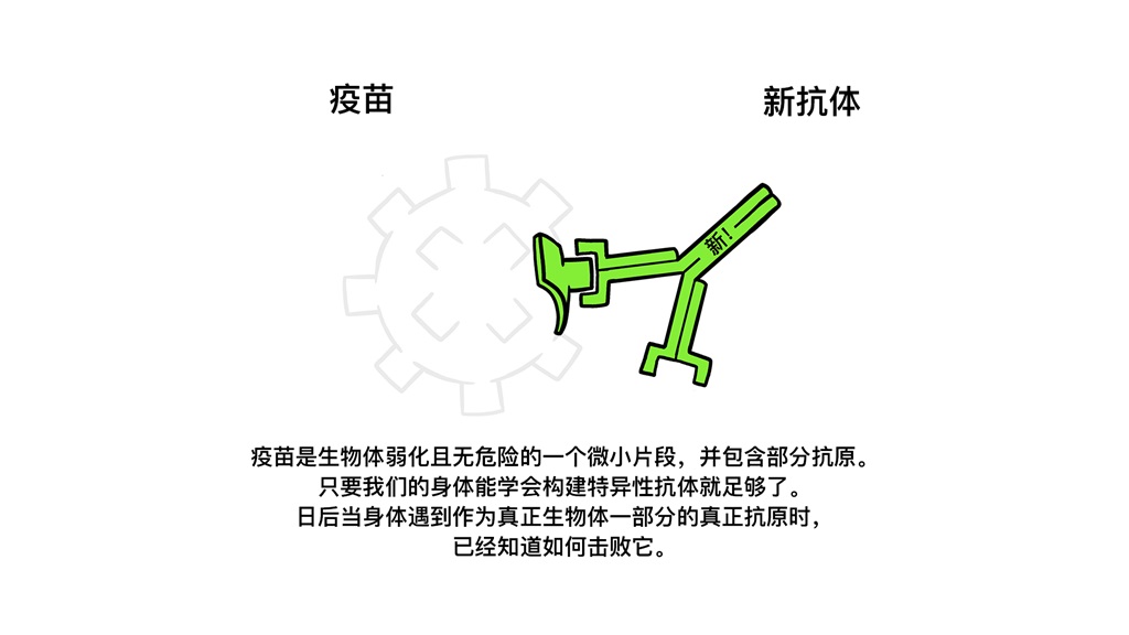 Vaccines Antibody illustration 02_29 Oct