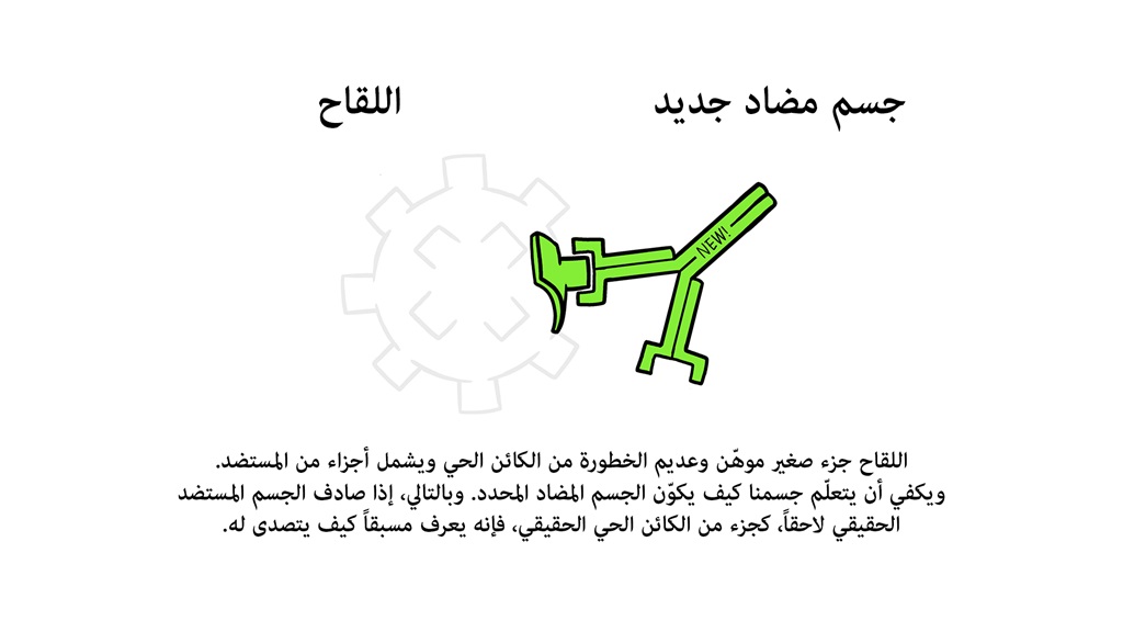 Vaccines Antibody illustration 02_29 Oct